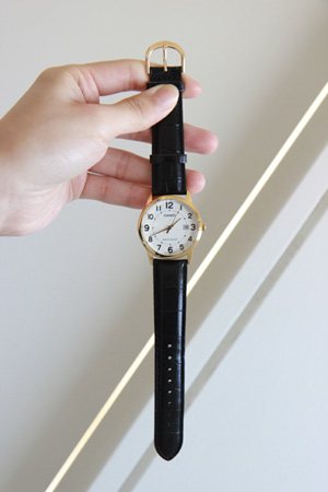{casio}1920 analog watch